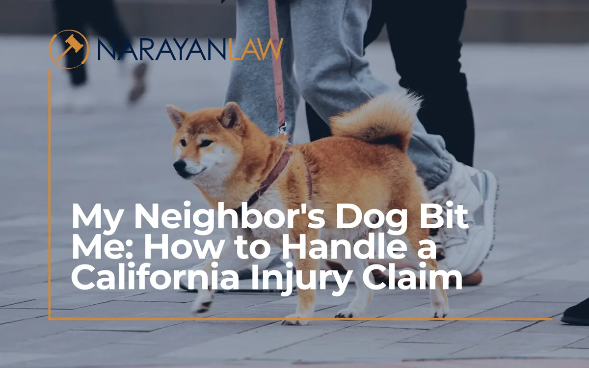 A dog on a leash walking beside its owner on a paved sidewalk