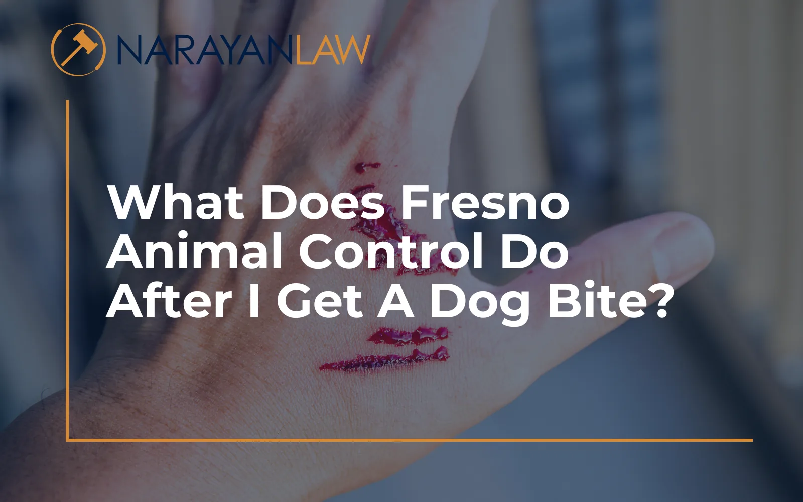 Fresno Animal Control dog bite investigation process