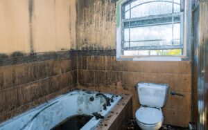 Burned house interior after fire, a toilet after fire inside. Landlord negligence.